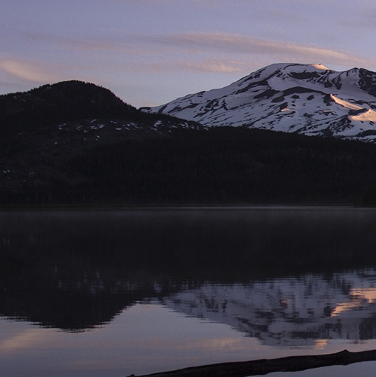 粉象生活粉丝怎么增加