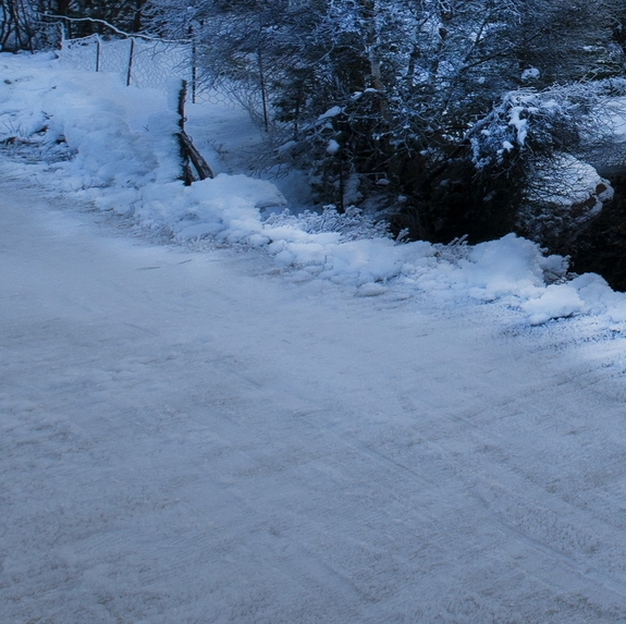 神象牌野山参粉六盒装的售价