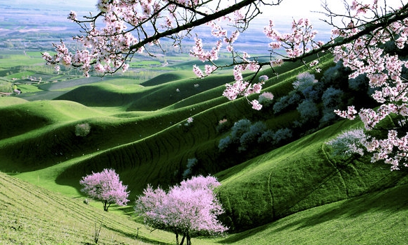 粉象生活直播挣钱吗