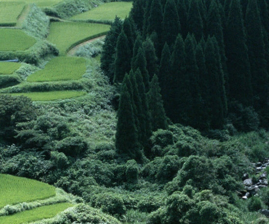 和生活爱辽宁是什么软件