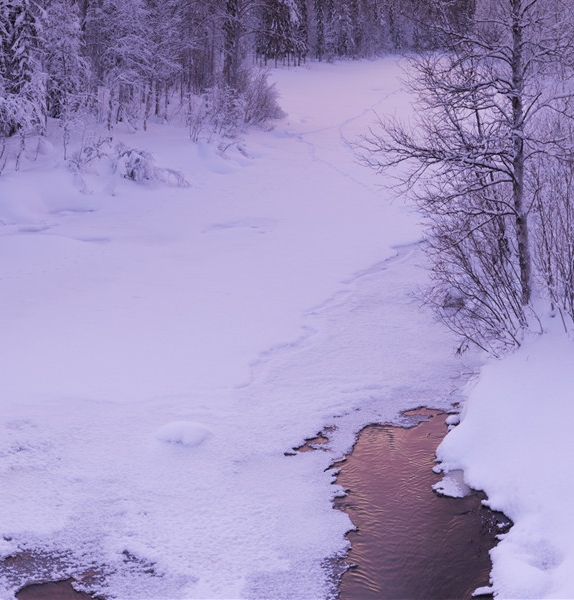 粉象生活实力背景