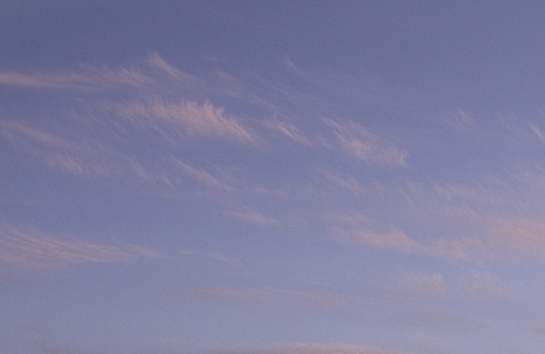 粉象生活背景图片