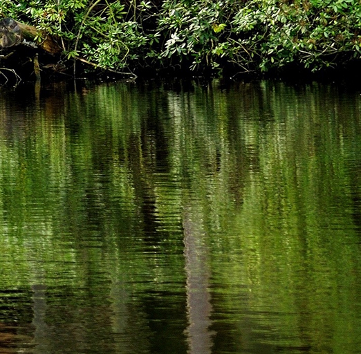 广东粉象生活能拿几代佣金
