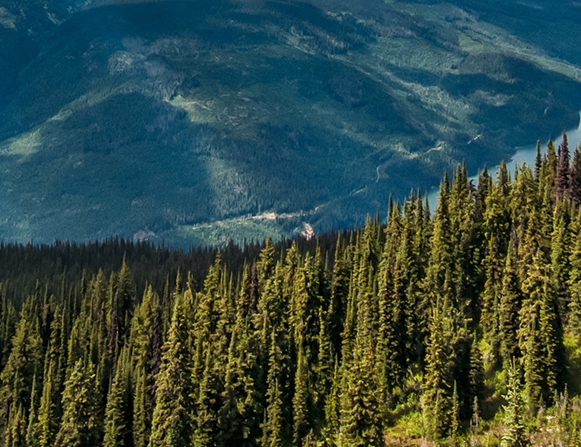 粉象生活赚钱过程
