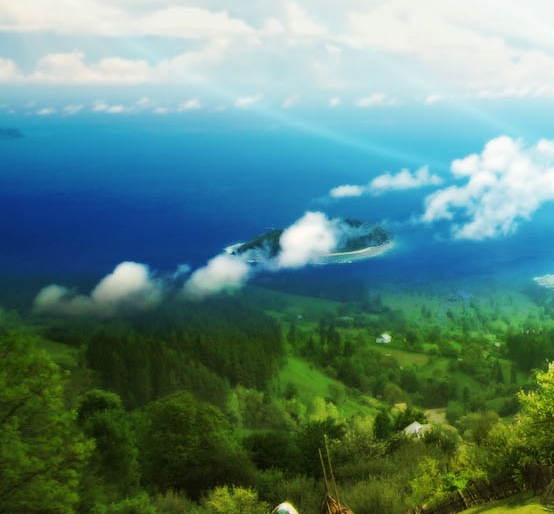 粉象生活买的东西怎么查