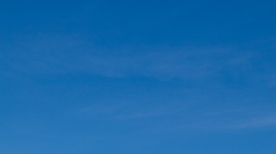 粉象生活加盟登录注册