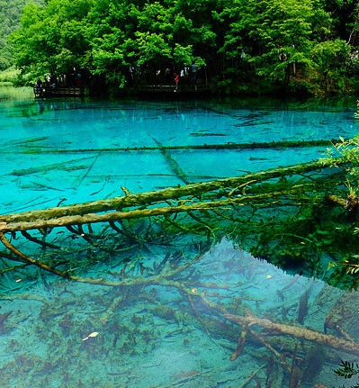 粉象生活怎么赚钱