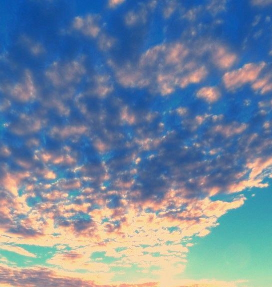 粉象生活是干嘛的