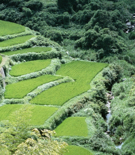 粉象生活怎么做任务