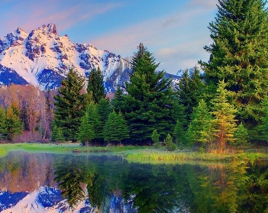 粉象是什么平台