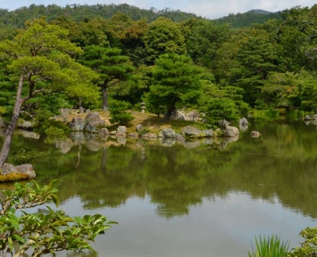 粉象生活团队招聘条件