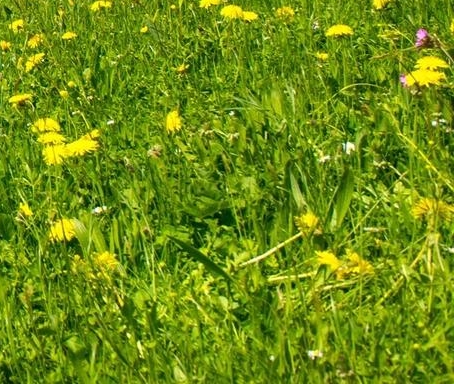 菏泽粉象生活软件咨询电话