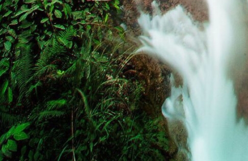 粉象生活是正规平台吗