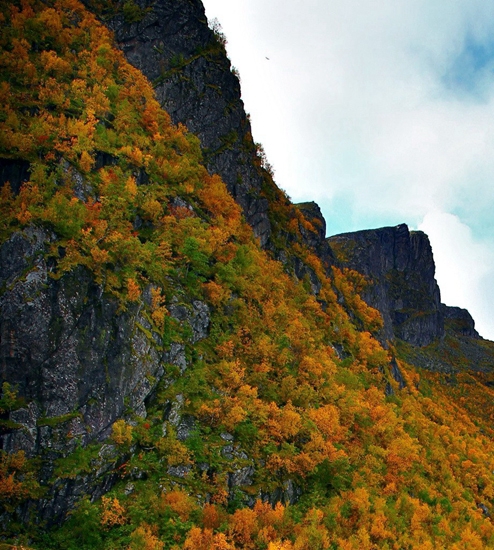 粉象生活新手怎么开通收益