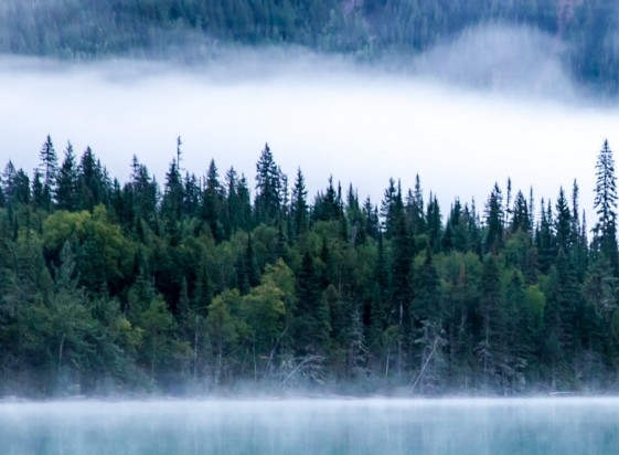粉象生活邀请码