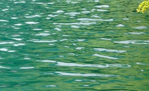 粉象生活怎么打广告