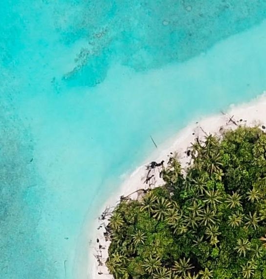 广东正规粉象生活赚钱么