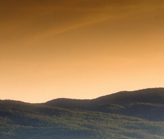 粉象生活怎么填写邀请码