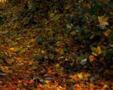 粉象生活买到口罩