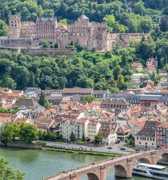 粉象生活是游客