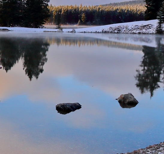 福建粉象生活收入