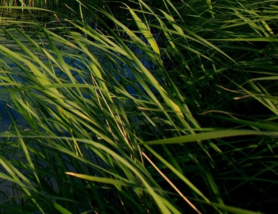 粉象生活粉丝怎么增加