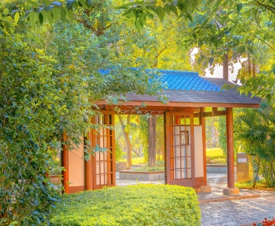 粉象生活创新之星