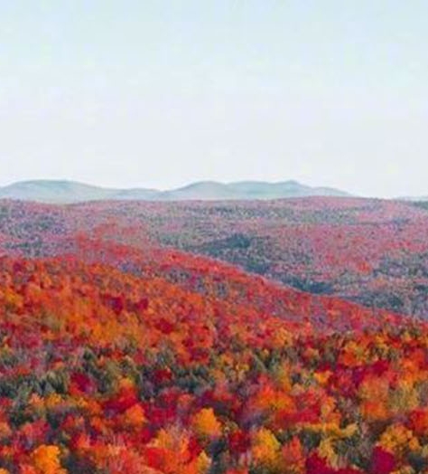 朔州生活垃圾焚烧发电厂