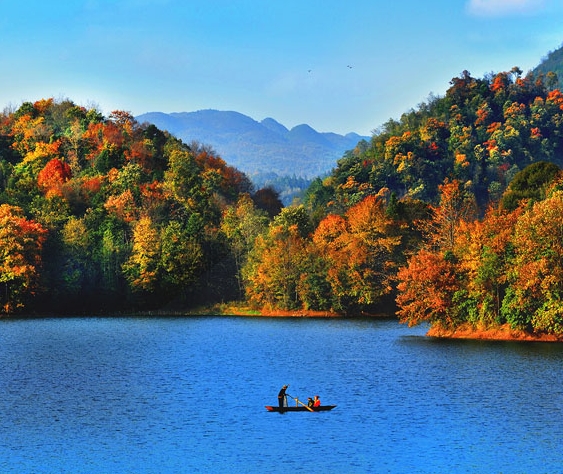 粉象生活注册注册