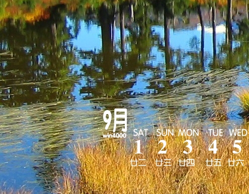粉象生活天一团队