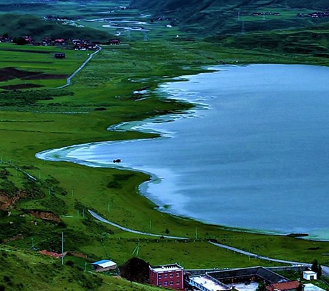 粉象生活新品介绍