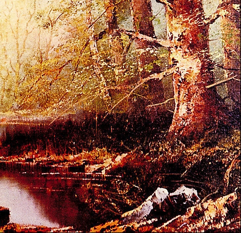 小米平台粉象生活