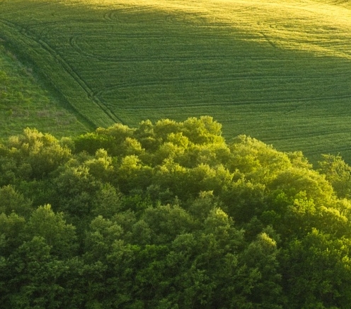 粉象生活哪个app好下单