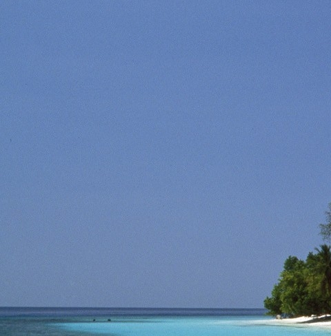 粉象生活邀请码455079