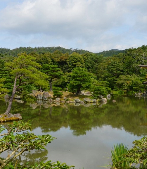 粉象生活可以开店吗