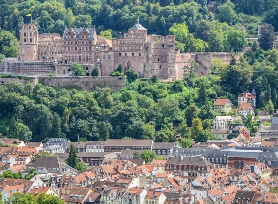 粉象生活100粉丝多少钱