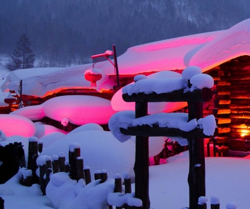 粉象生活怎么查找