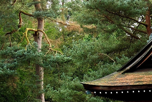 粉象生活怎么快速推广