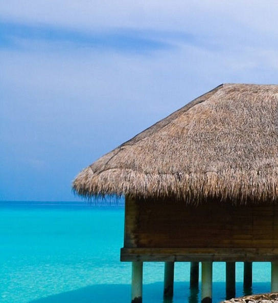 粉象生活可以赚钱吗