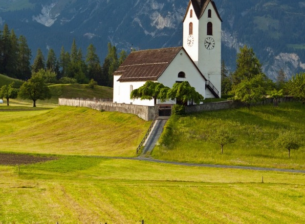 粉象生活的新闻