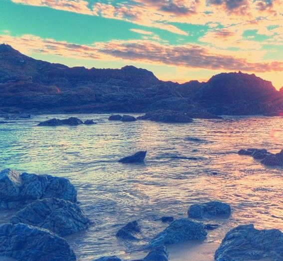 粉象生活下载app