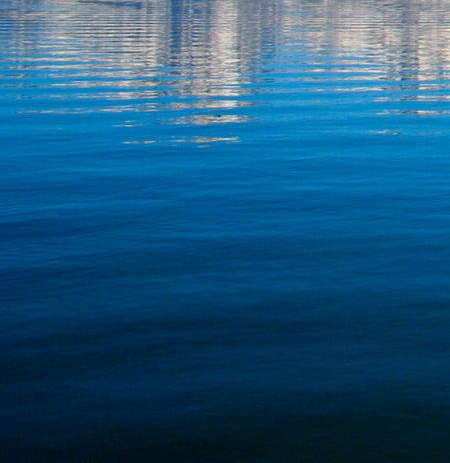 粉象生活推广现场