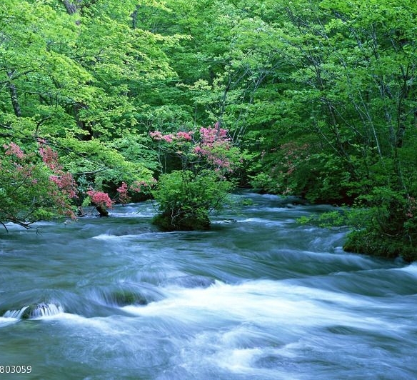 粉象生活需要交钱吗