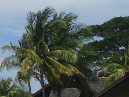 粉象生活怎么赚钱