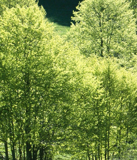 粉象生活没有邀请码怎么办