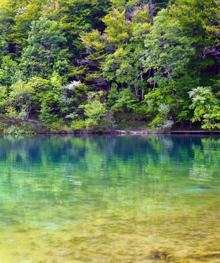 粉象生活和淘宝什么关系