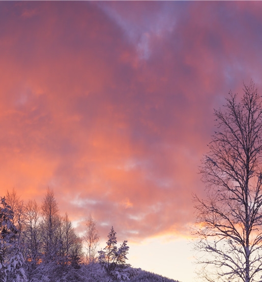 粉象生活怎么填写邀请码