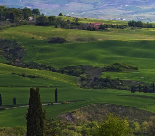 杭州粉象家科技有限公司