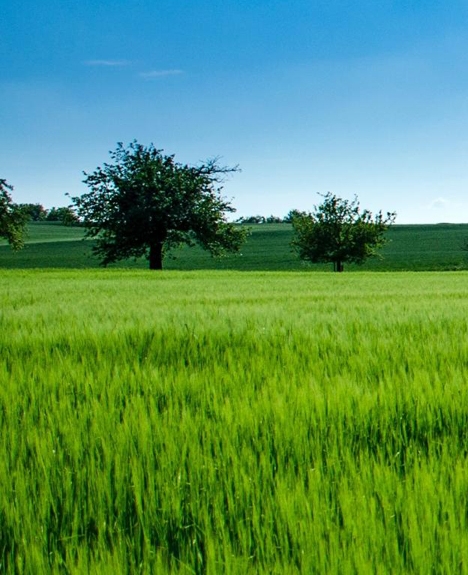 粉象生活怎么赚钱