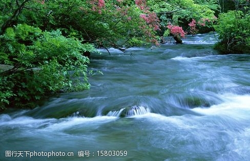 浙江正规粉象生活线上推广